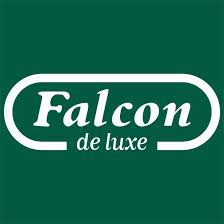 Puzzles Falcon