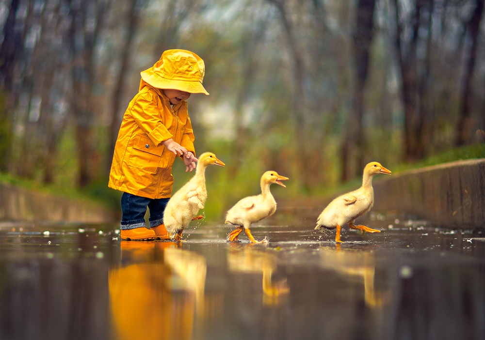 Puzzle Castorland Pequeños Amigos en la Lluvia de 500 Piezas