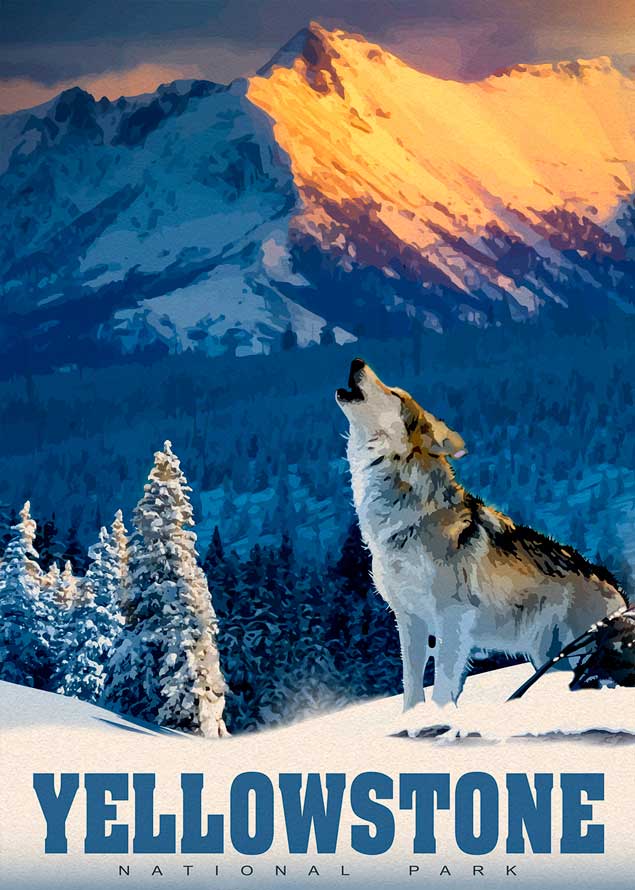 Puzzle Alipson Lobo de Yellowstone de 500 Piezas