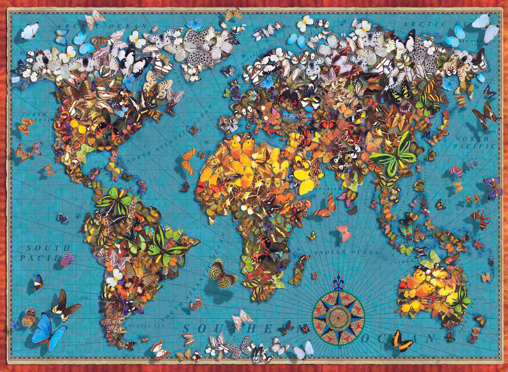 Puzzles Anatolian El Mundo de las Mariposas de 1000 Piezas