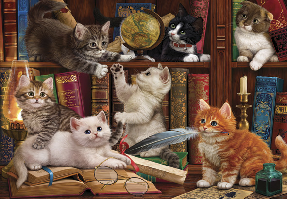 Puzzle Anatolian Gatitos en la Estantería de 500 Piezas
