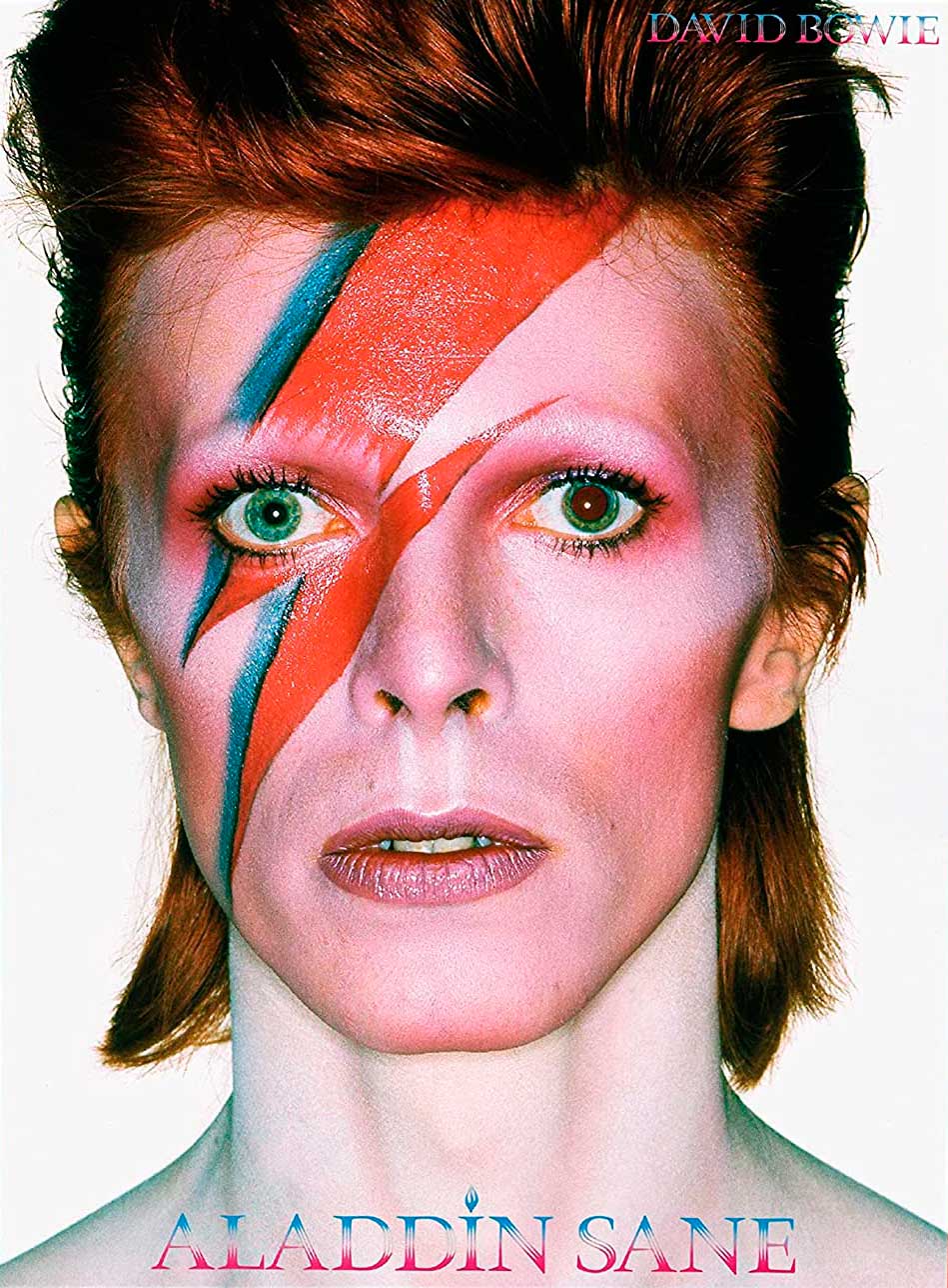 Puzzle Aquarius David Bowie Aladdin Sane de 500 Piezas