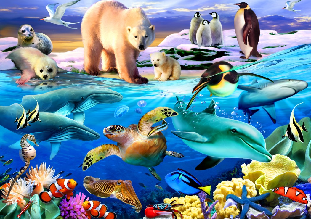 Puzzle Bluebird Océanos de Vida de 1000 Piezas