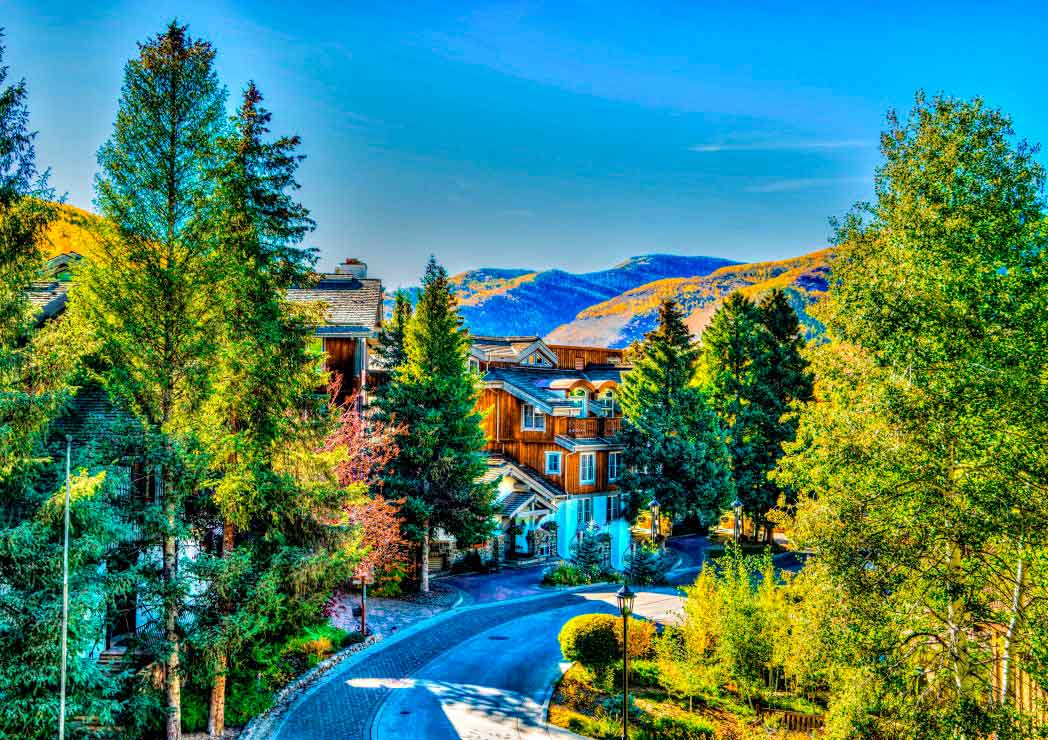 Comprar Puzzle Bluebird Vail, Colorado, Estados Unidos de 1000 Piezas