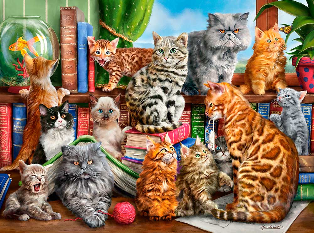 Comprar Puzzle Castorland de Gatos de 2000 Piezas - Castorland-C-200726