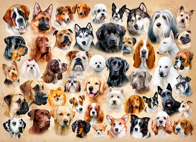 Puzzle Castorland Collage de Perros de 1500 Piezas