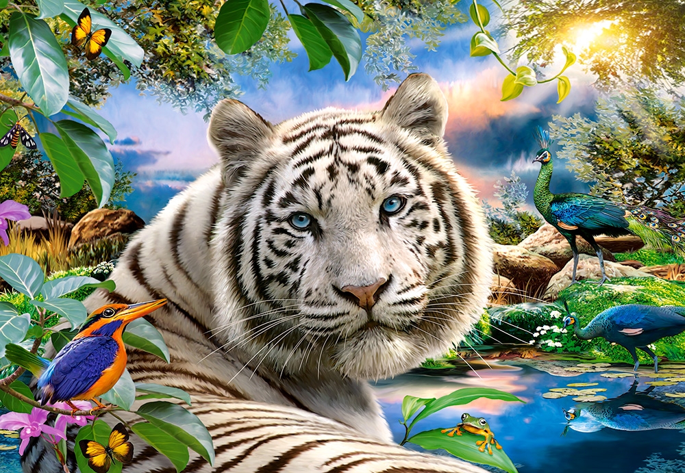 Puzzle Castorland La Mirada del Tigre de 1500 Piezas