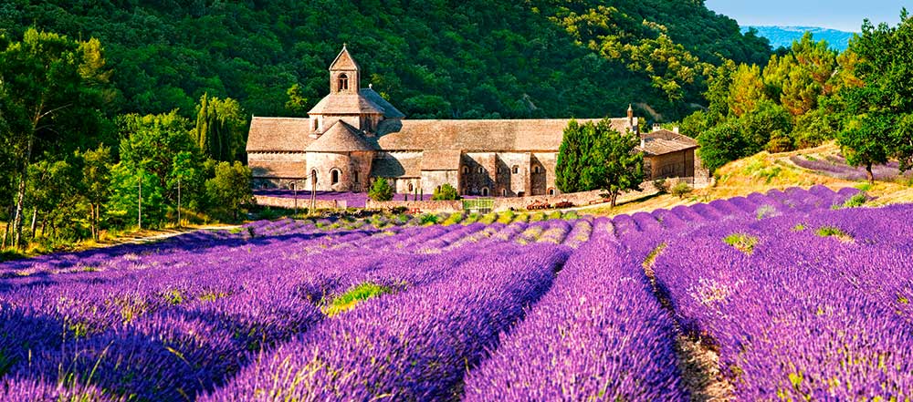 Puzzle Castorland Notre Dame de Senanque, Francia de 600 Pzs