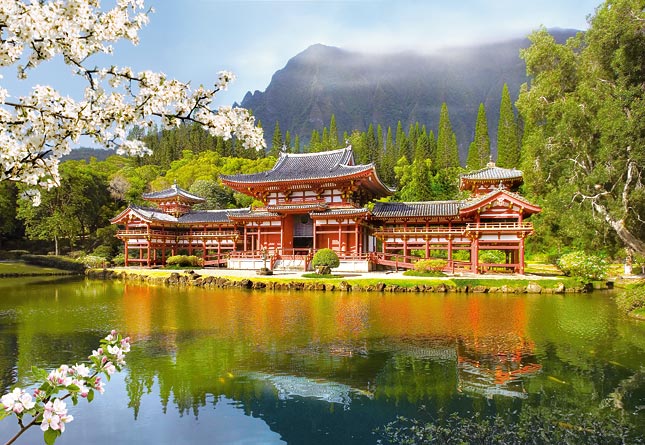 Puzzle Castorland Réplica del viejo Templo Byodoin de 1000 Piez