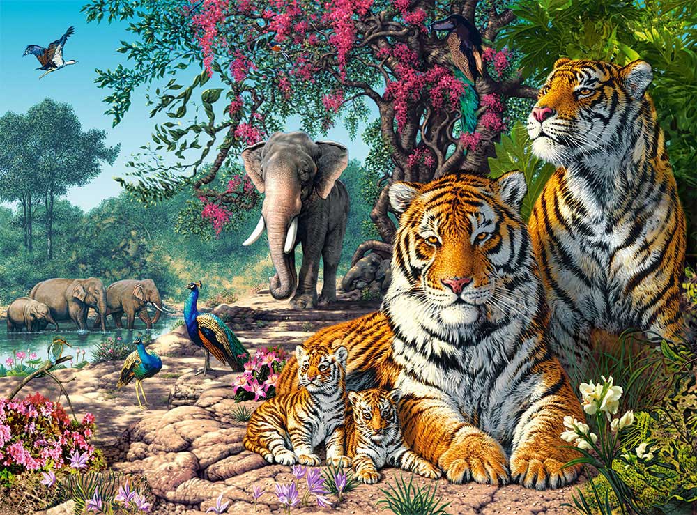 Puzzle Castorland Santuario de Tigres de 3000 Piezas