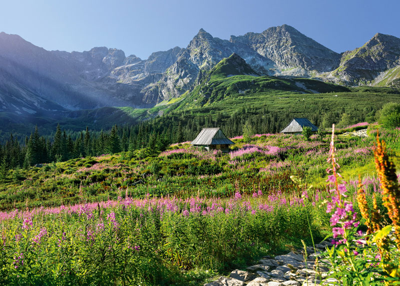 Puzzle Cherry Pazzi Hala Gasienicowa, montañas Tatra de 1000 Pzs