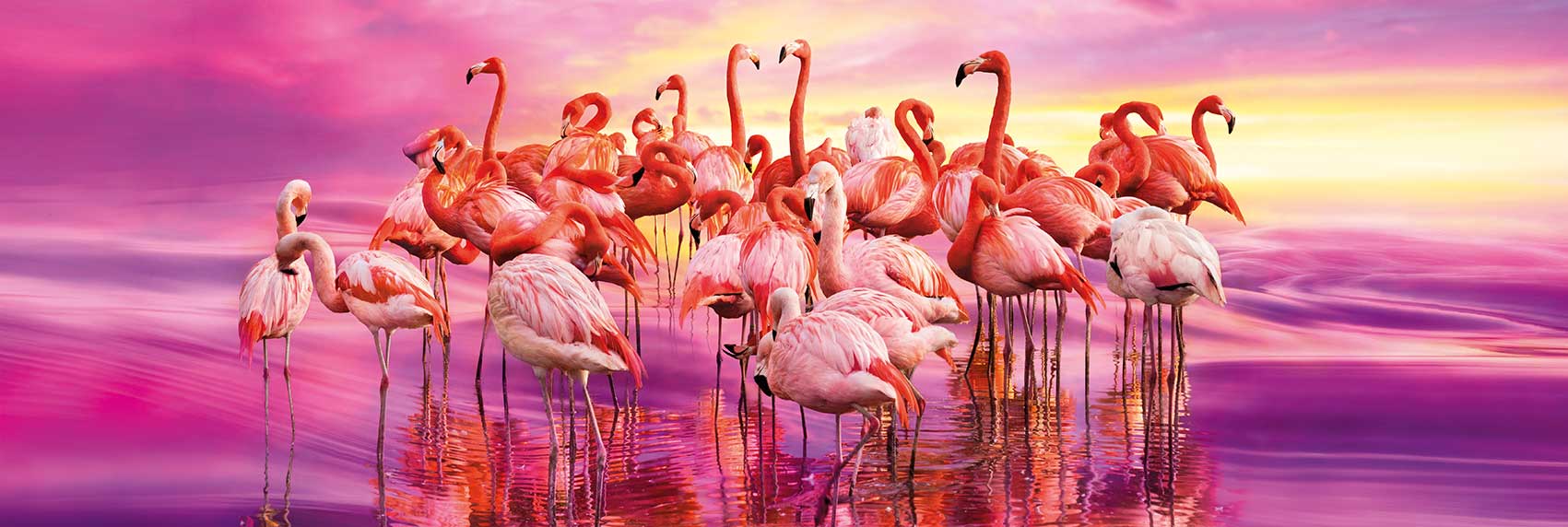 Puzzle Clementoni  El Baile de los Flamencos de 1000 Piezas