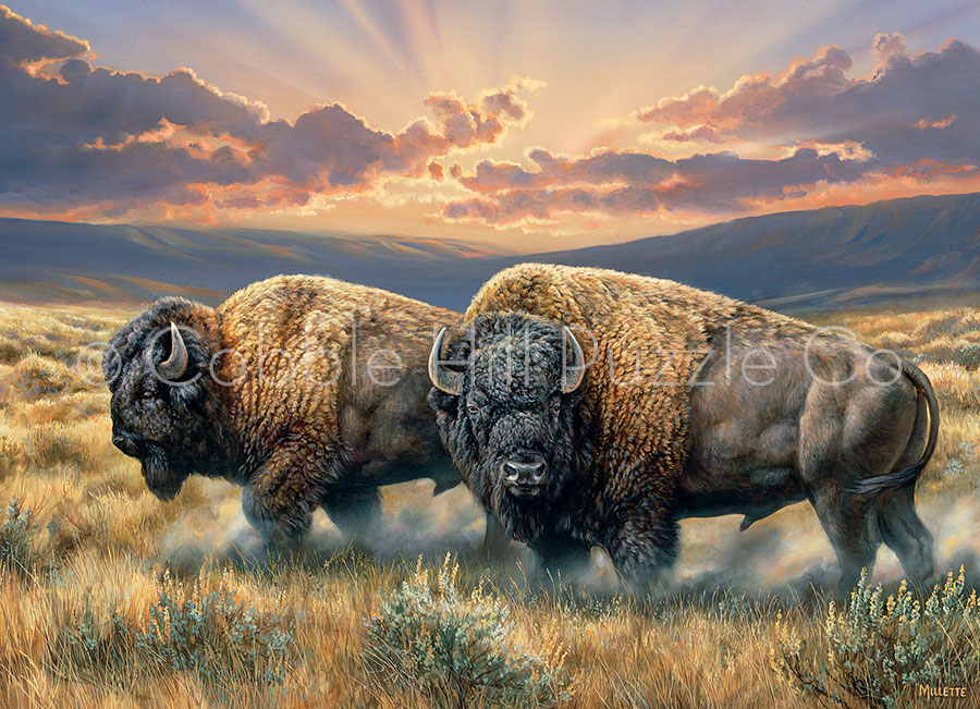 Puzzle Cobble Hill Bisontes en la Llanuras de 1000 Piezas