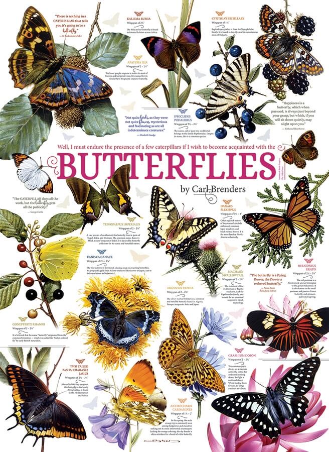 Puzzle Cobble Hill Colección de Mariposas de 1000 Piezas