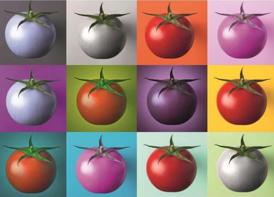 Puzzle Dino Tomates Pop Art de 1000 Piezas