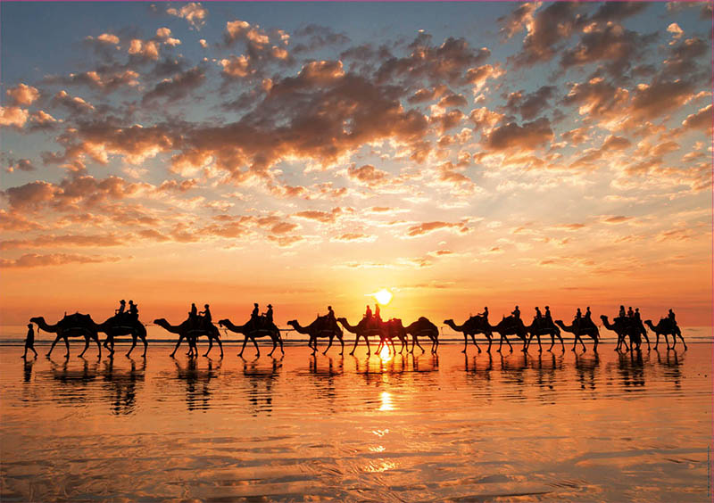 Puzzle Educa Atardecer Dorado en Cable Beach, Australia 1000 Pi
