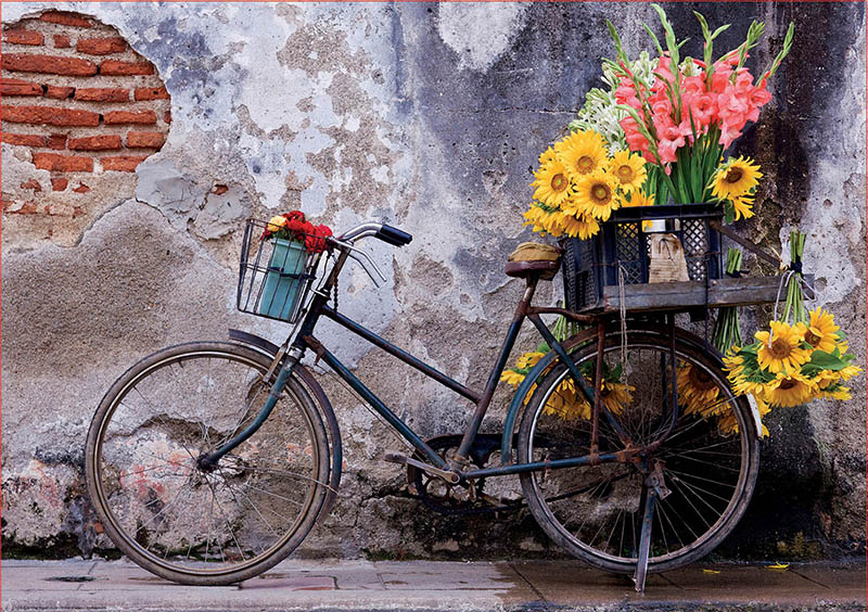 Puzzle Educa Bicicleta con Flores de 500 Piezas