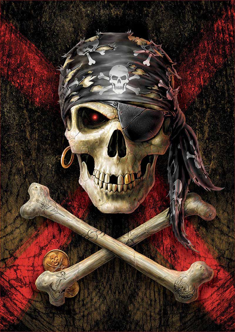 Puzzle Educa Calavera Pirata de 500 Piezas