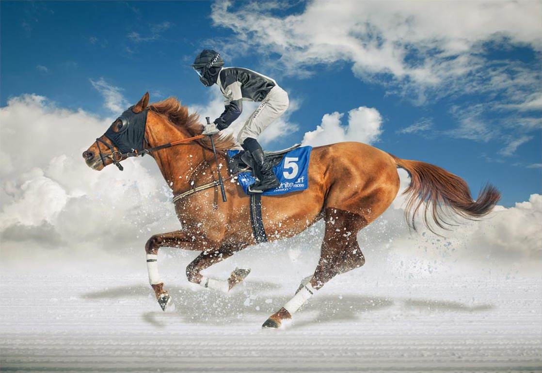 Puzzle Educa Carreras de Caballos en la Nieve de 1500 Piezas