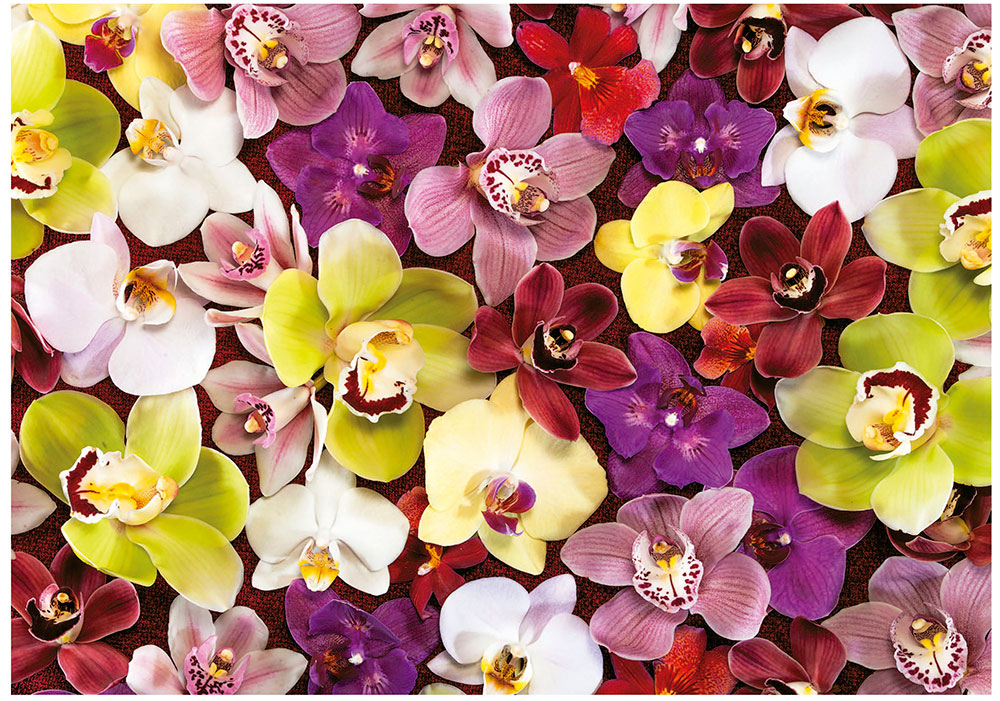 Puzzle Educa Collage de Orquídeas de 1000 Piezas