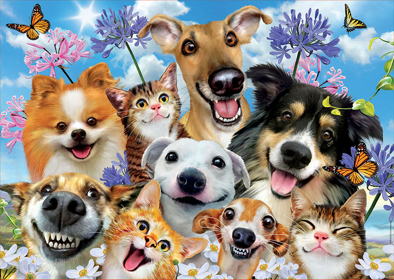 Puzzle Educa Fun in the Sun, Selfie de 500 Piezas
