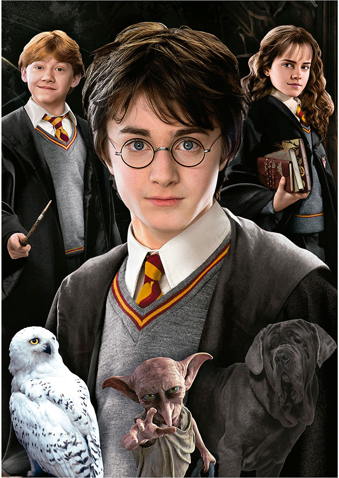 Puzzle Educa Harry Potter (Piezas Miniatura) de 1000 Piezas