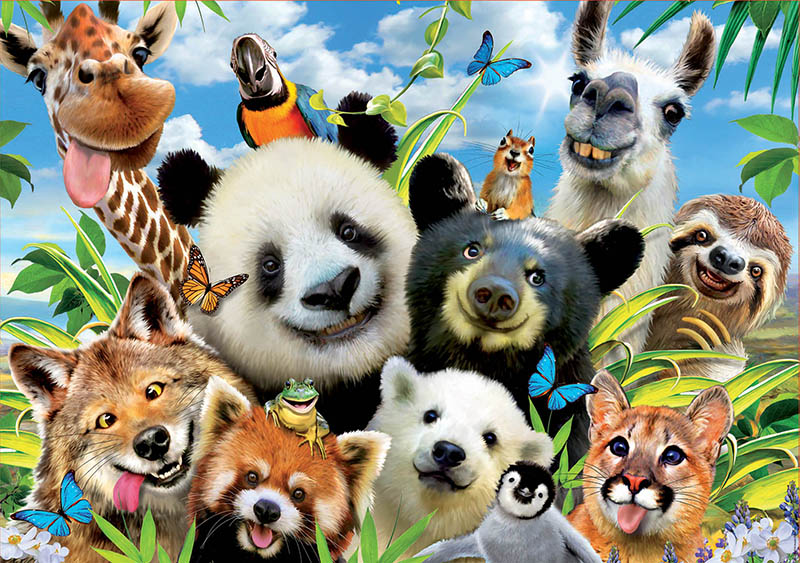 Puzzle Educa Llama Drama Selfie de 1000 Piezas