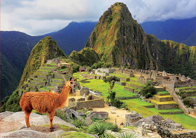 Puzzle Educa Machu Pichu, Perú  de 1000 Piezas