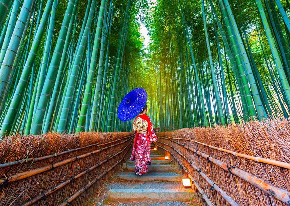 Puzzle Enjoy Mujer Asiática en Bosque de Bambú 1000 Pzs