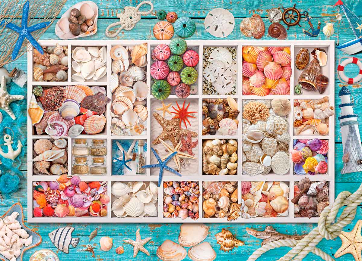 Puzzle Eurographics Colección de Conchas de 1000 Piezas