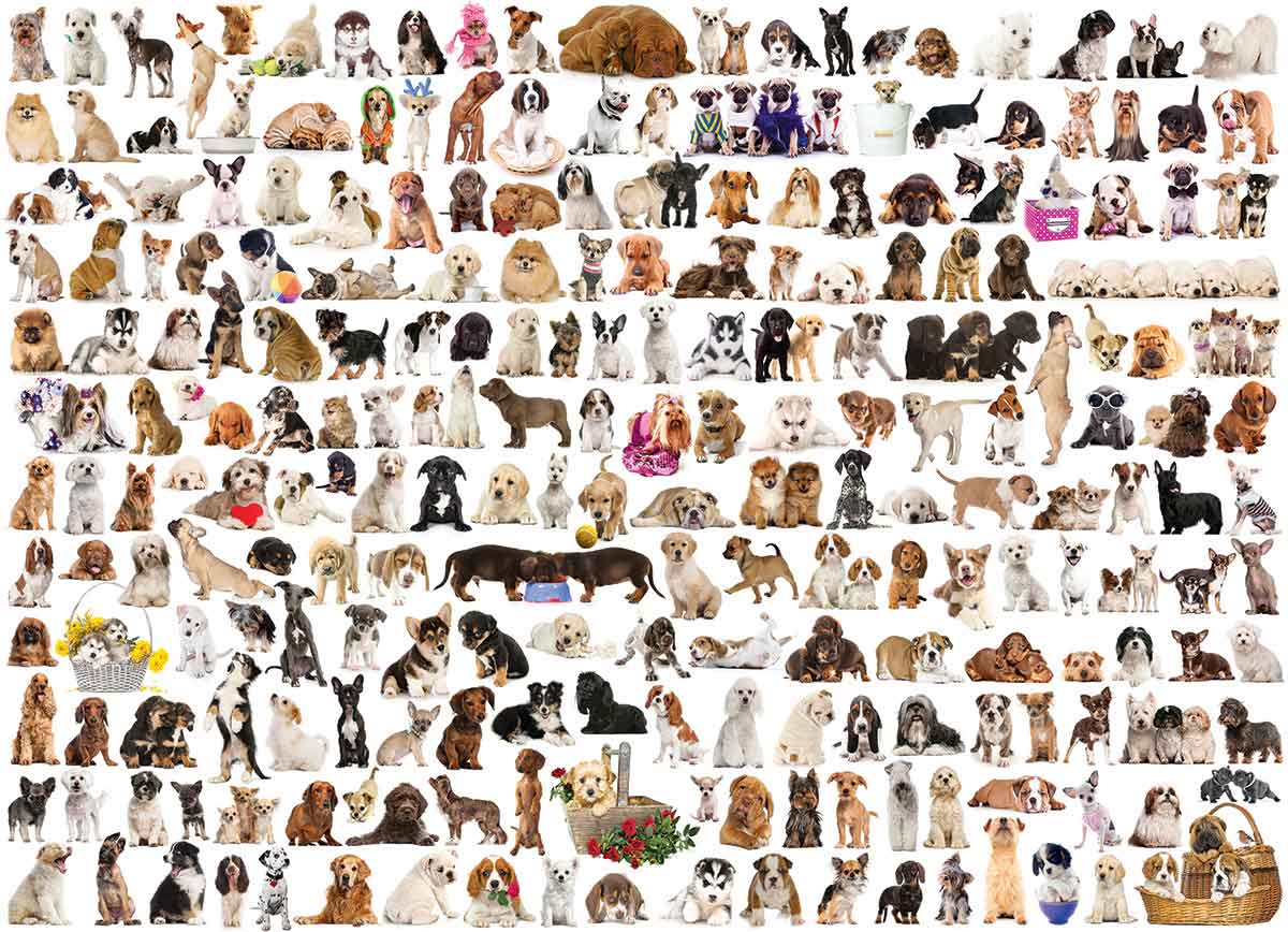 Puzzle Eurographics El Mundo de los Perros de 1000 Piezas