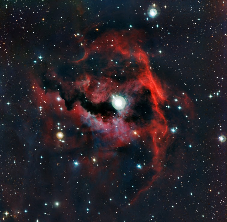 Puzzle Grafika Nebulosa de la Gaviota de 1000 Piezas