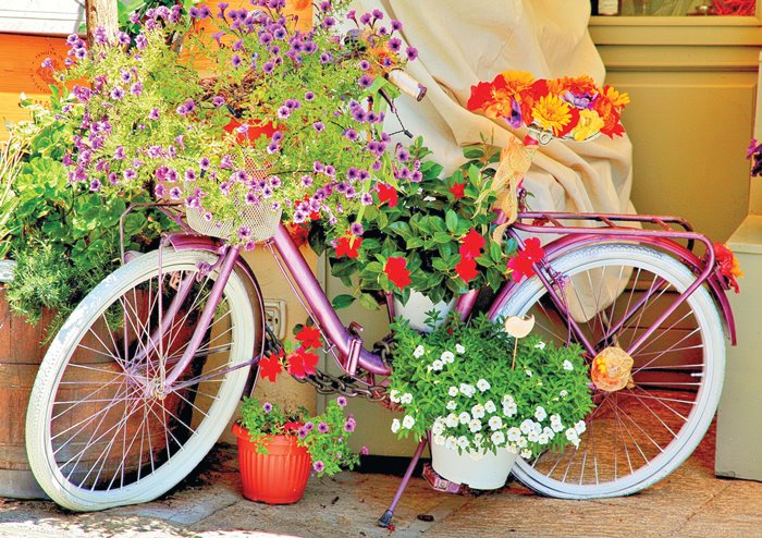 Puzzle Magnolia Bicicleta Con Flores de 1000 Piezas