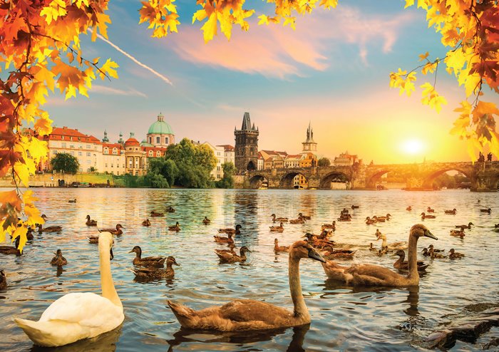 Puzzle Magnolia Cisnes en Puente de Carlos de 1000 Piezas