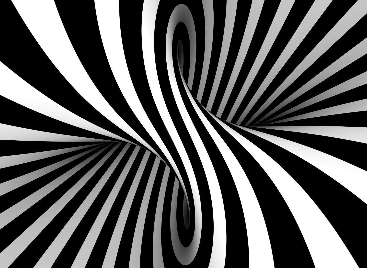 Puzzle Nova Espiral en Blanco y Negro de 1000 Piezas