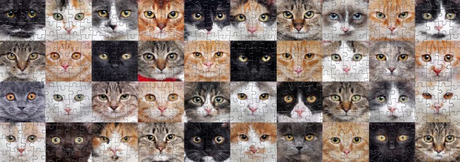 Puzzle Nova Panorama Collage de Gatos de 1000 Pzs