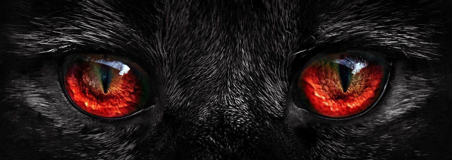 Puzzle Nova Panorama Ojos de Gato de 1000 Pzs