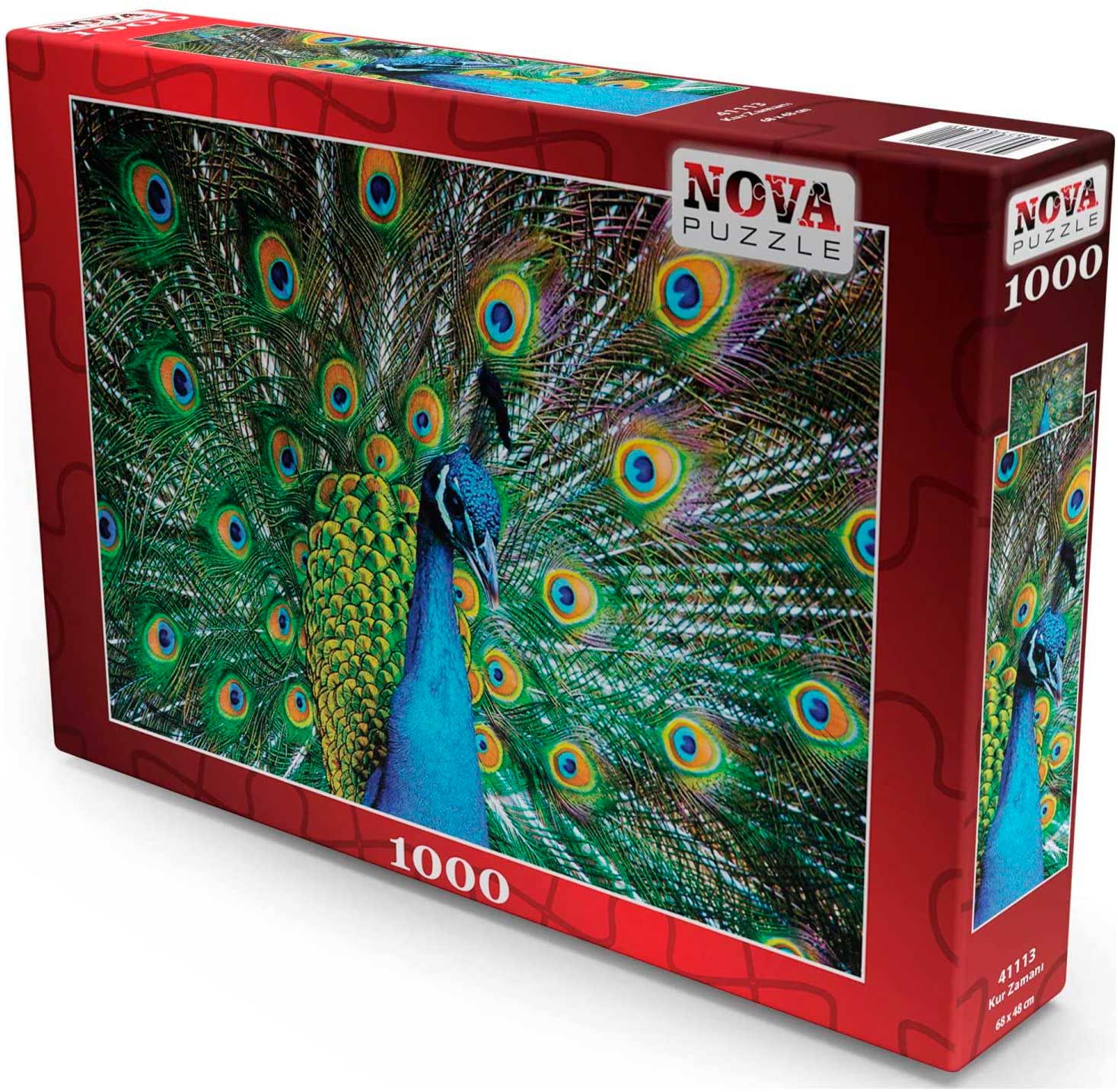 café Revelar billetera Comprar Puzzle Nova Pavo Real de 1000 Piezas - Nova-41113