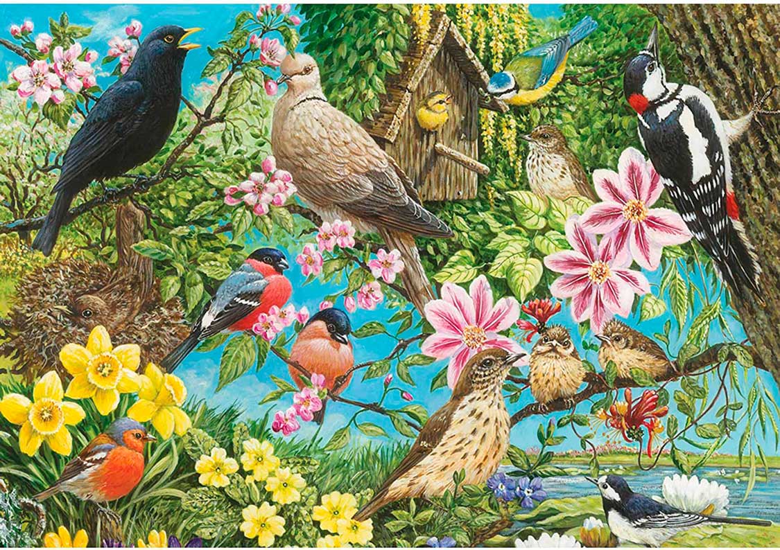 Puzzle Otter House Aves, Lo Mejor de la Naturaleza de 500 Pieza