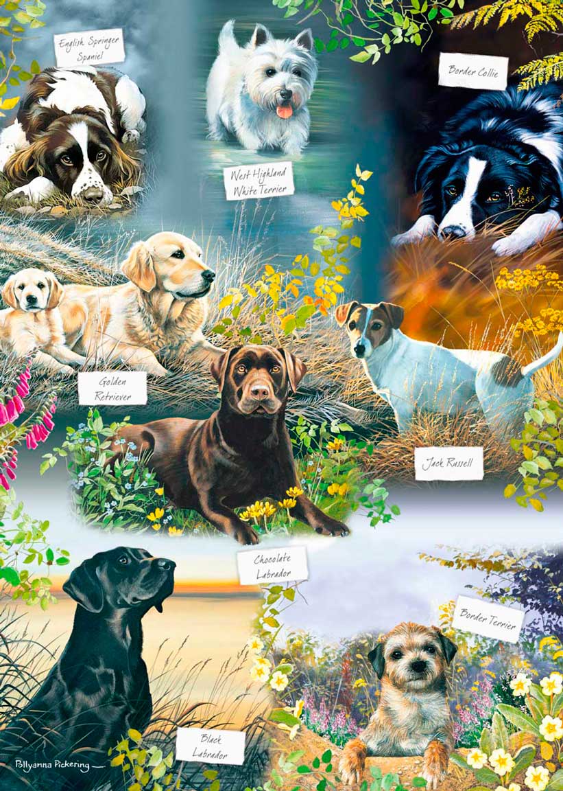 Puzzle Otter House El Mejor Amigo del Hombre de 1000 Piezas