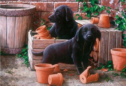 Puzzle Otter House Los Cachorros Bill y Ben de 500 Piezas