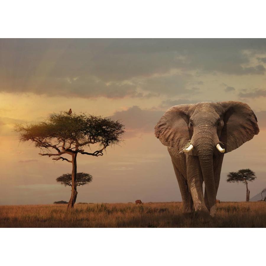 Puzzle Ravensburger Elefante de los Masai Mara de 1000 Piezas