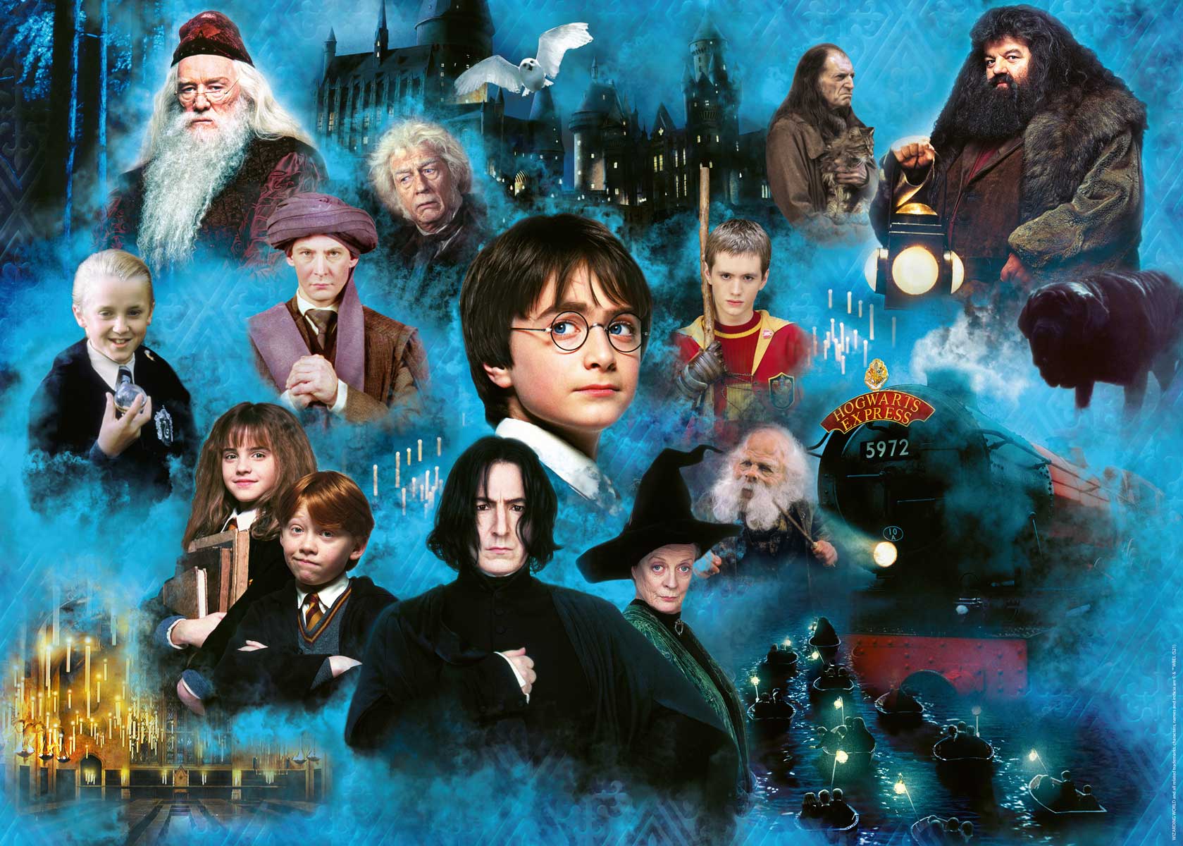 Puzzle Ravensburger Harry Potter Mundo Mágico de 1000 Piezas