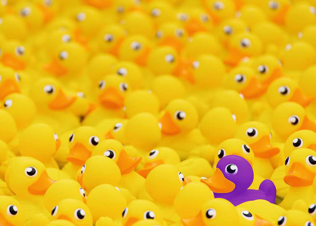 Puzzle Ravensburger Patos de Goma de 1000 Piezas