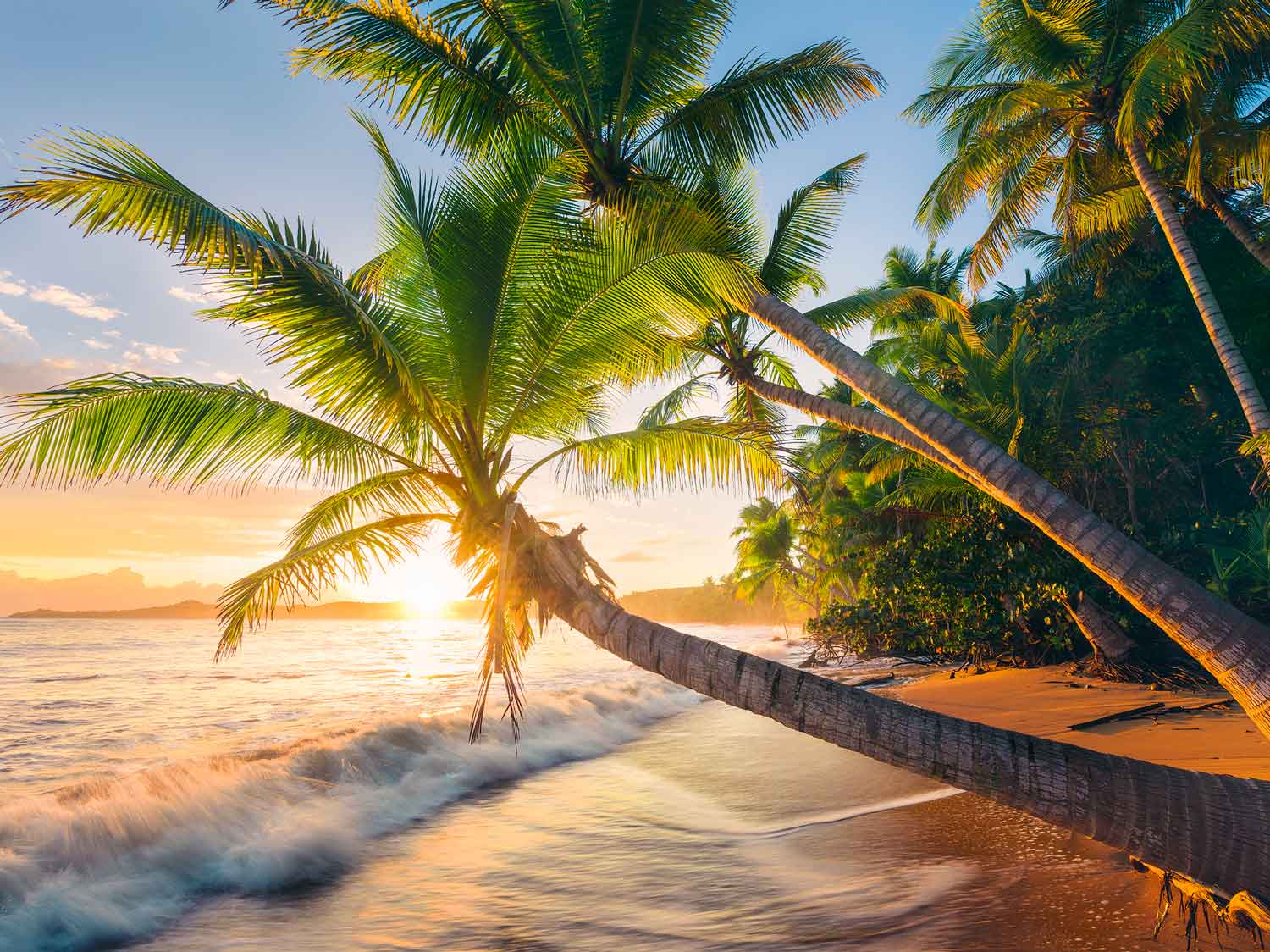 Puzzle Ravensburger Playa Secreta de 1500 Piezas