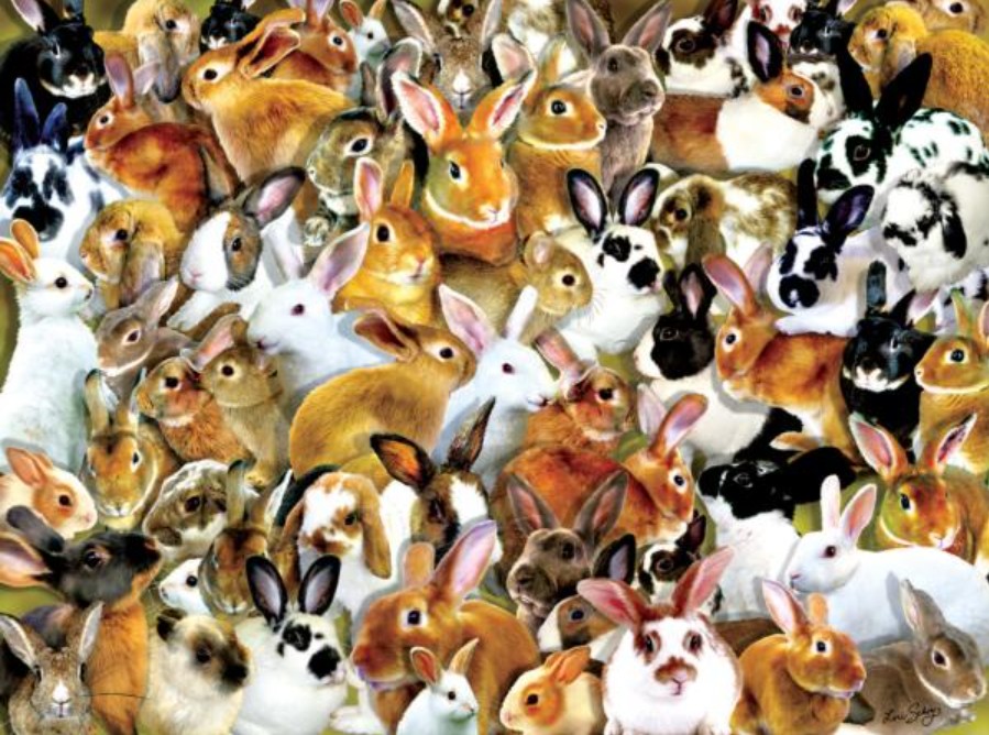 Puzzle SunsOut Grupo de Conejos de 1000 Piezas