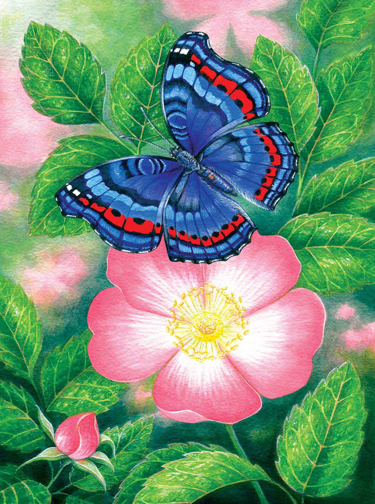 Puzzle SunsOut La Mariposa Azul de 1000 Pzs