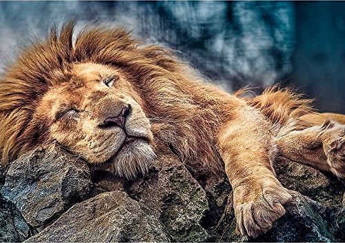 Puzzle Trefl León Durmiendo de 1000 Piezas