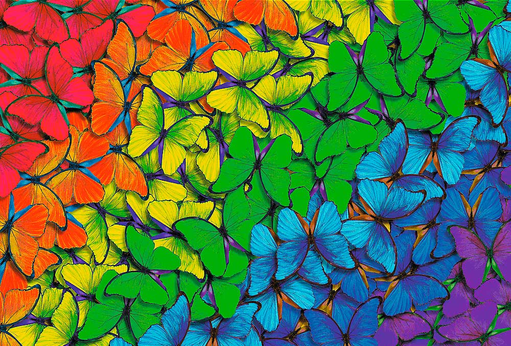 Puzzle Trefl Madera Mariposas Arcoíris de 500 Piezas
