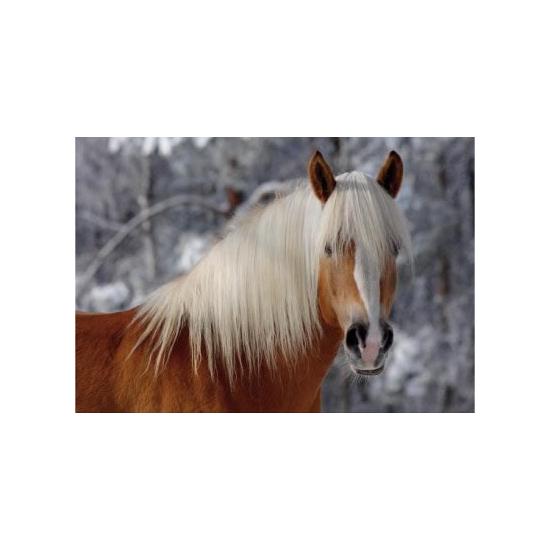 Puzzle D-Toys Caballo I de 239 Piezas Corte Especial